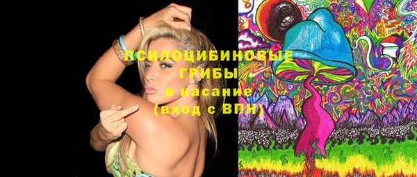 спиды Семёнов