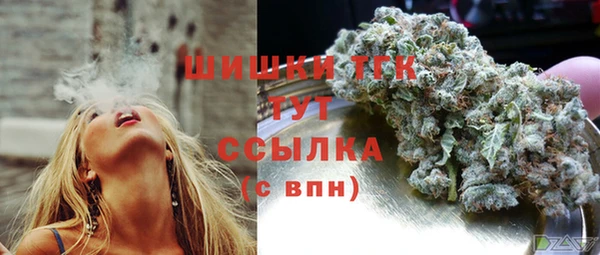 apvp Саяногорск