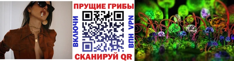 где купить наркоту  Сим  Псилоцибиновые грибы мицелий 